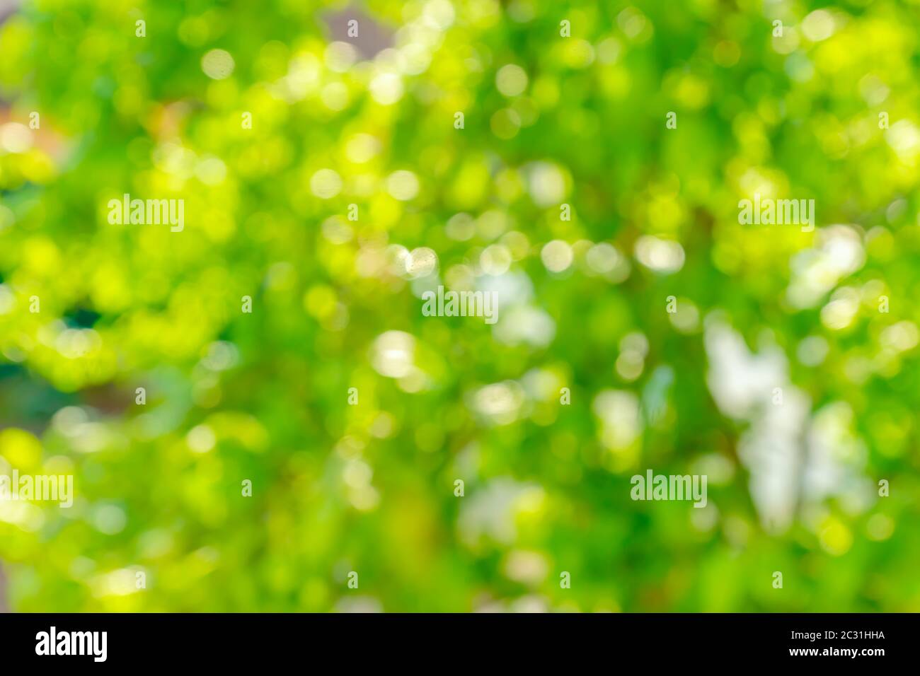 Blurred defocused rays light hi-res stock photography and images - Alamy