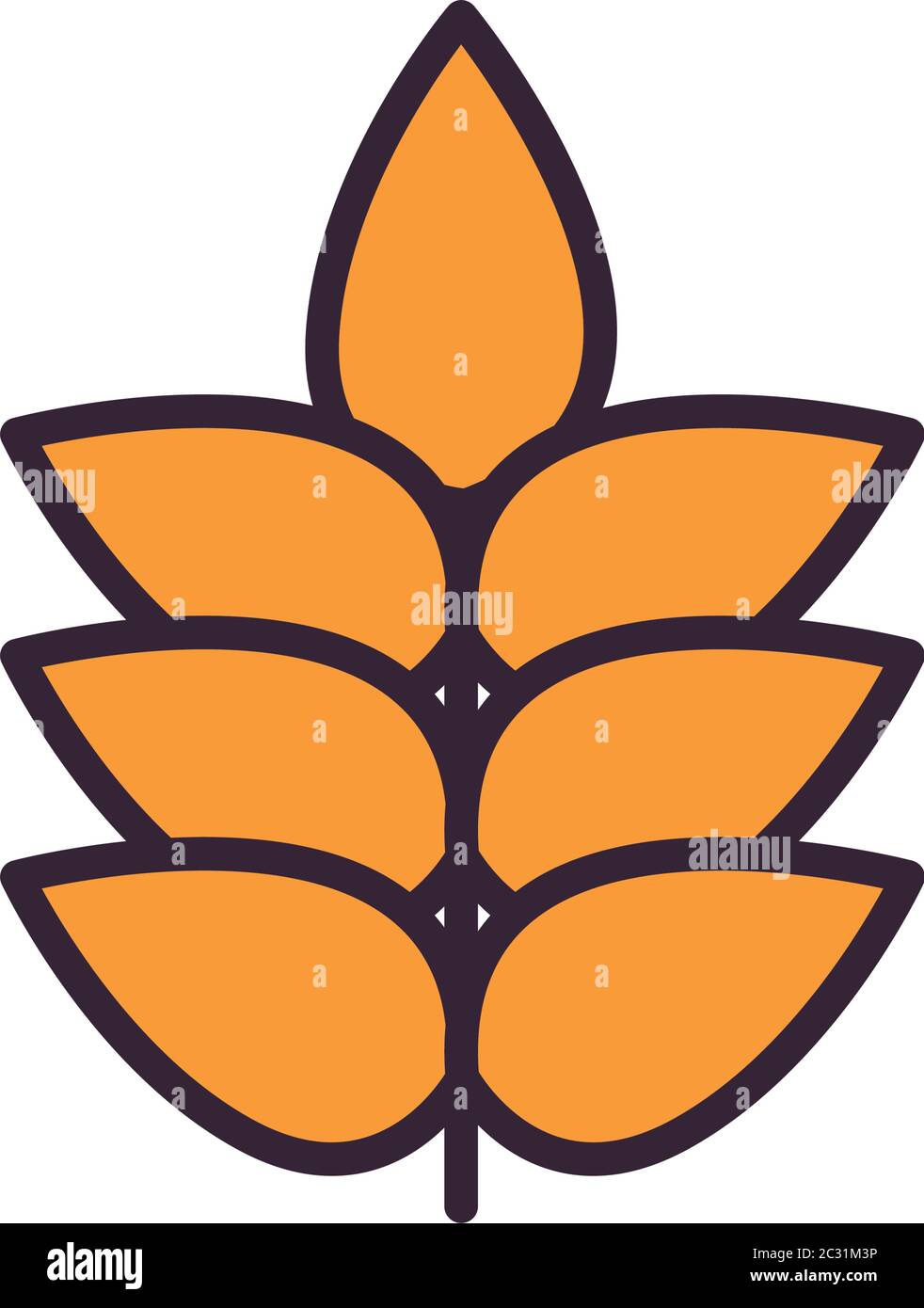 Wheat ear line and fill style icon design, Food grain and agriculture ...