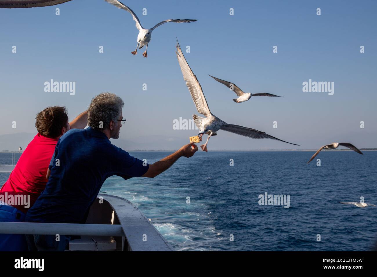 Thassos / Greece - 10.28.2015: Men offering food to seagulls from the deck of an island ferry, seagull catching the cracker, blue calm sea in the back Stock Photo