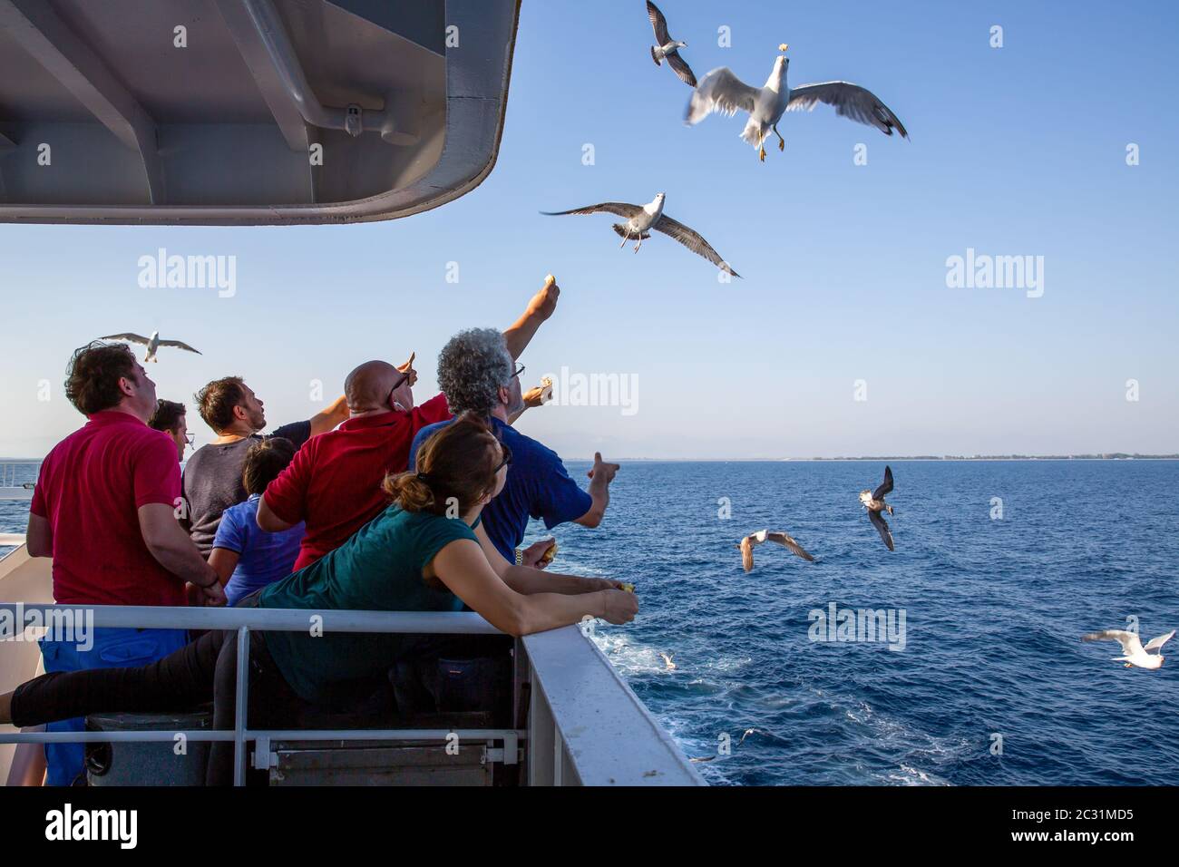 Thassos / Greece - 10.28.2015: People trying to feed the seagulls from the deck of an island ferry, seagull catching the cracker, blue calm sea in the Stock Photo