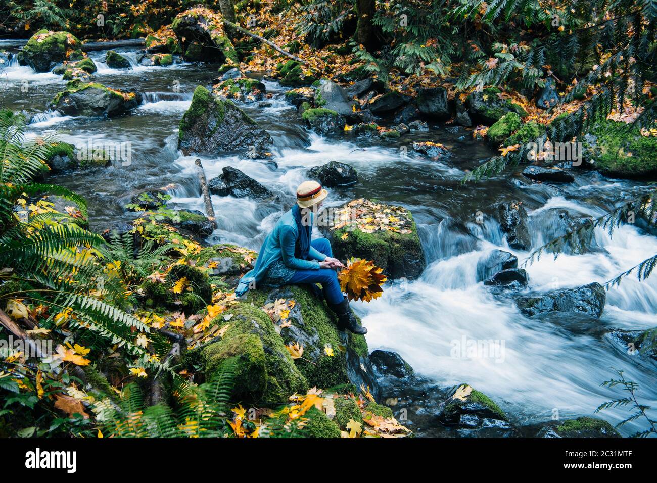 View of woman on rock with bouquet of fall leaves, Rocky Brook Falls, Brinnon, Washington, USA Stock Photo