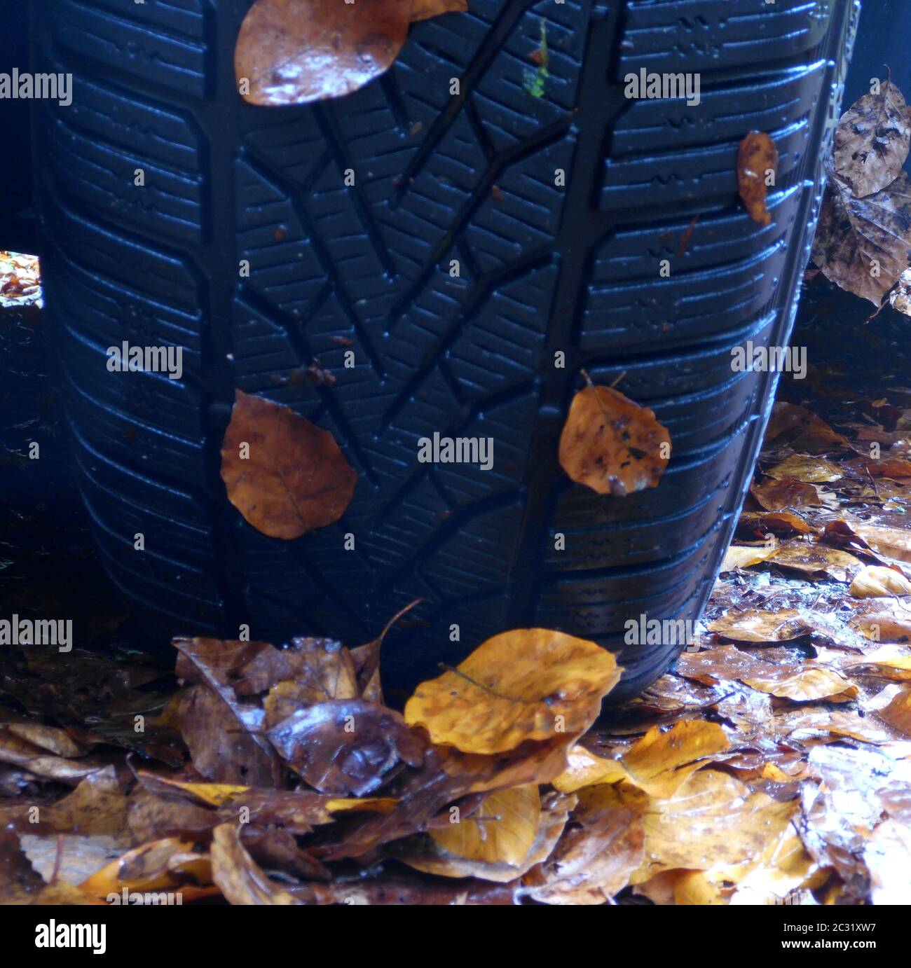 winter tires for autumn and winter Stock Photo