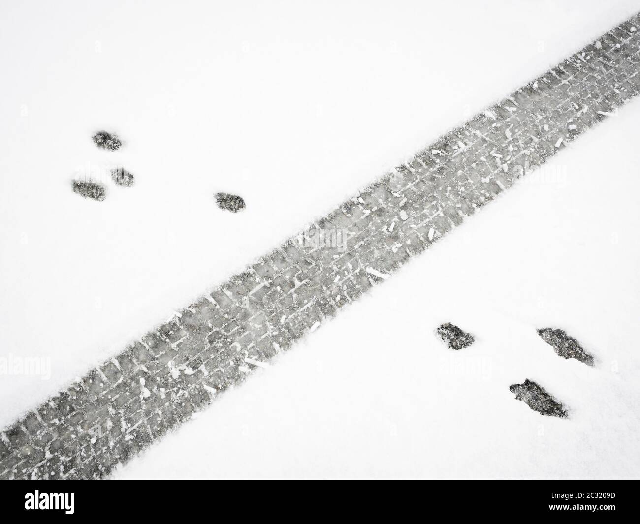 Tracks of animals and car tyres in the snow Stock Photo