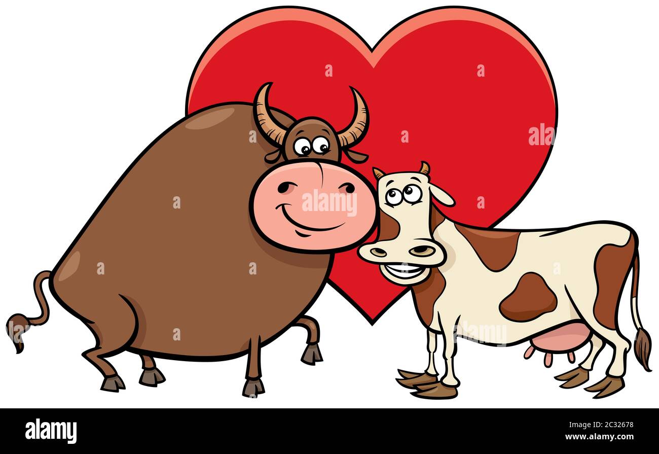 Бык и корова любовь