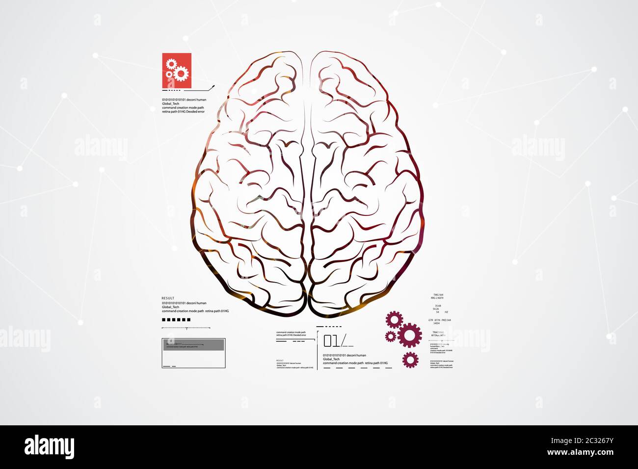 Human Brain Structure Stock Photo Alamy Human Brain Structure Stock Photo Alamy