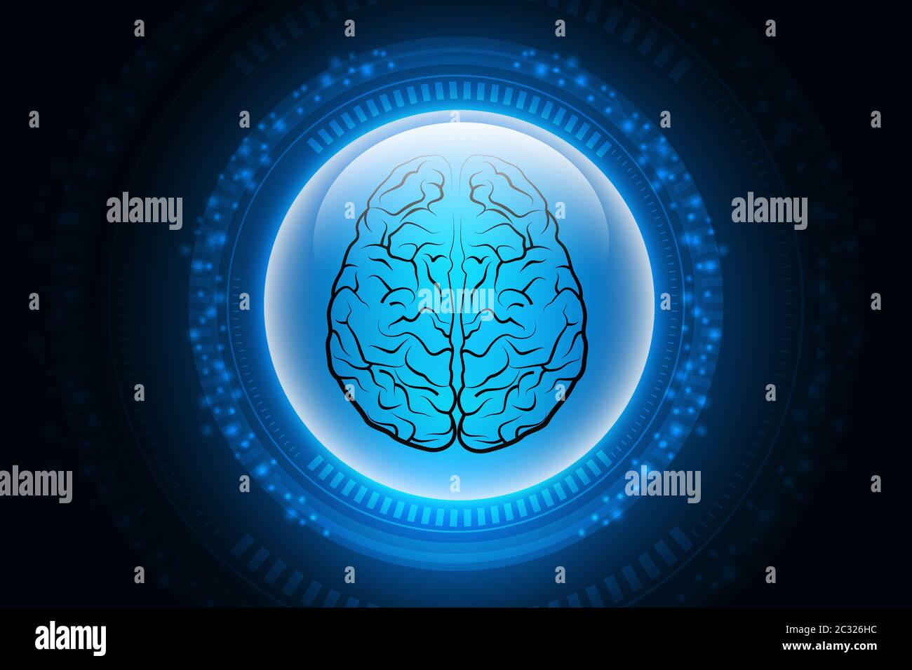 Human brain and spinal cord hi-res stock photography and images - Alamy