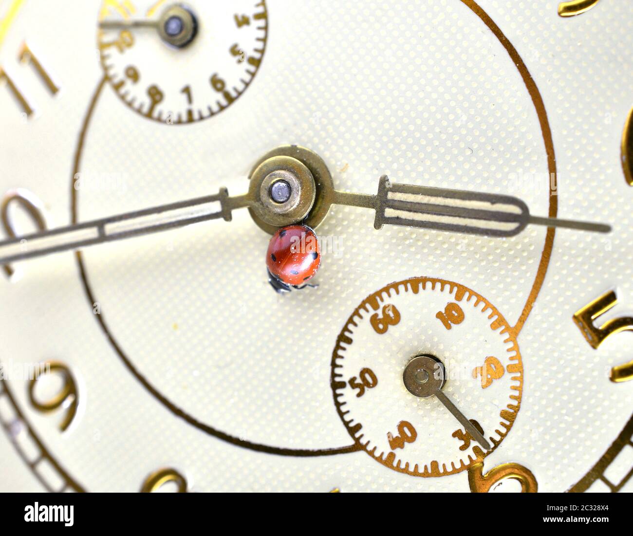 Ladybug on an old clock surface., time concept Stock Photo