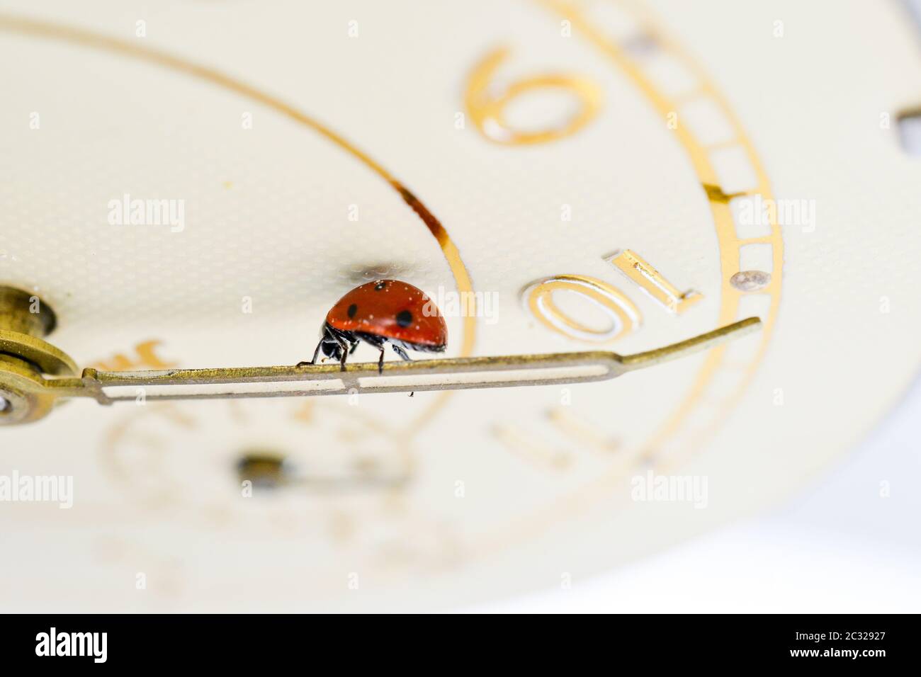 Ladybug on an old clock surface., time concept Stock Photo