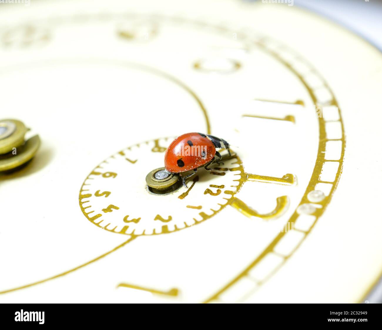 Ladybug on an old clock surface., image Stock Photo
