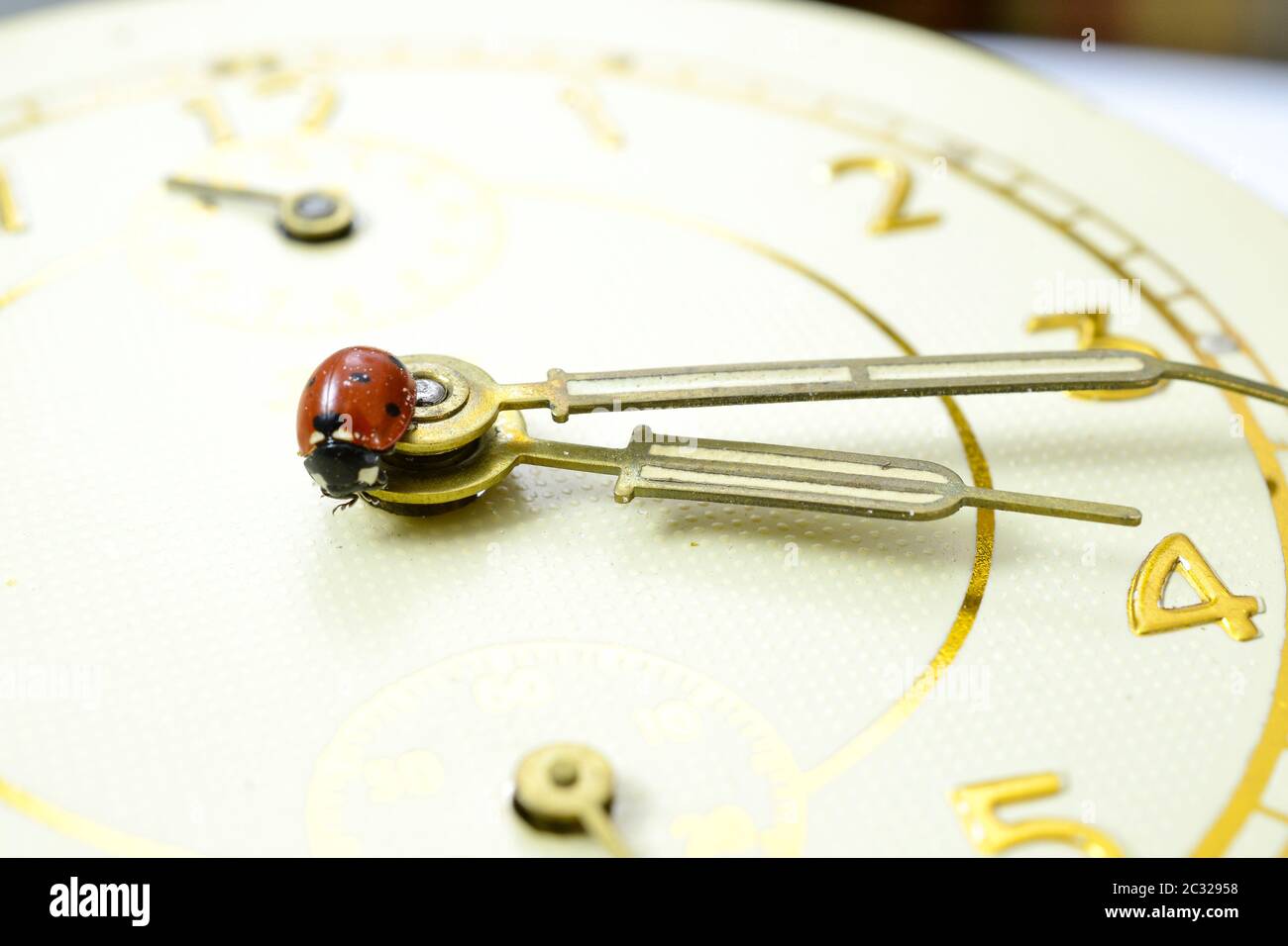 Ladybug on an old clock surface., time concept Stock Photo