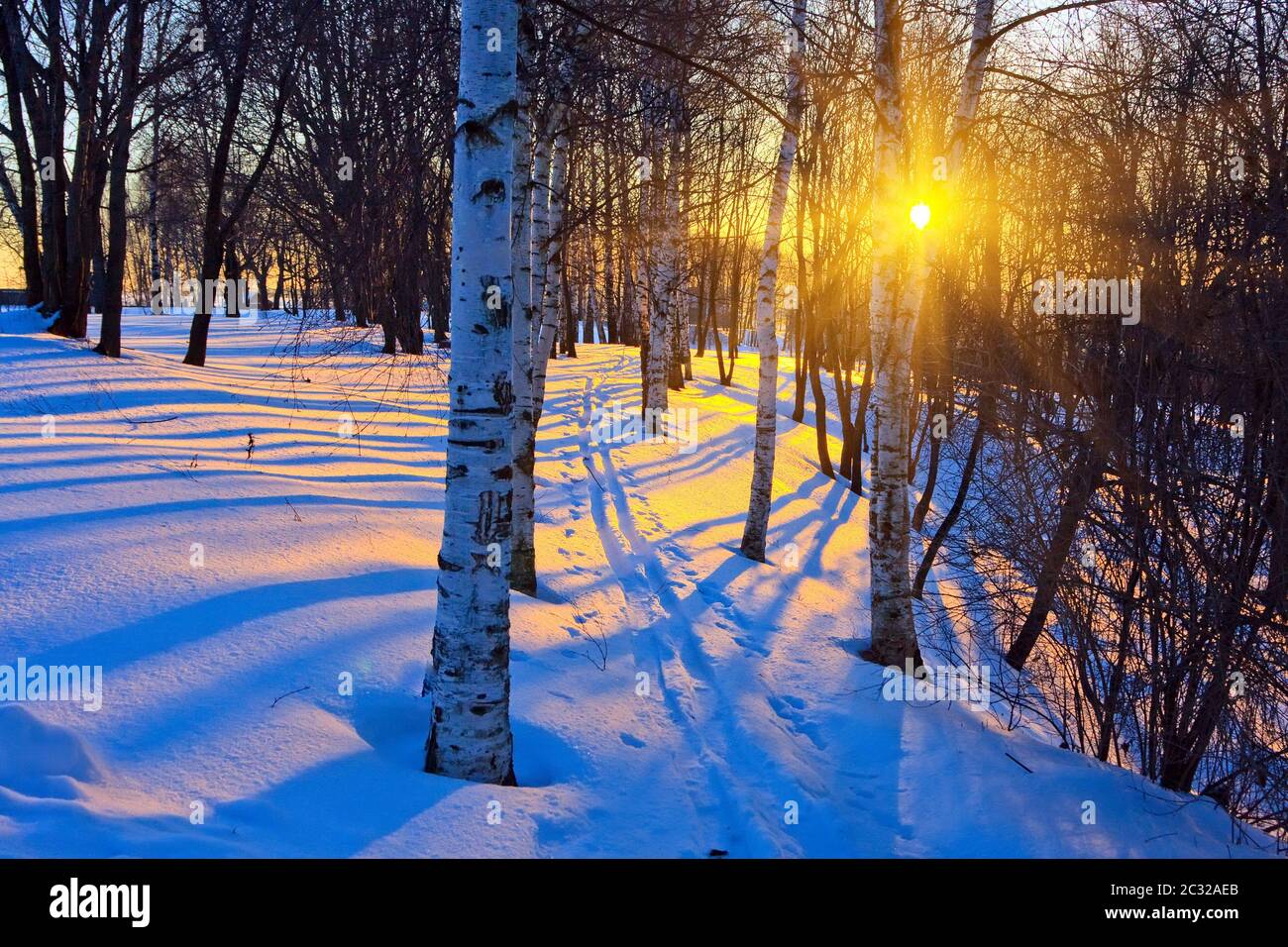 Beautiful sunset in a winter park Stock Photo