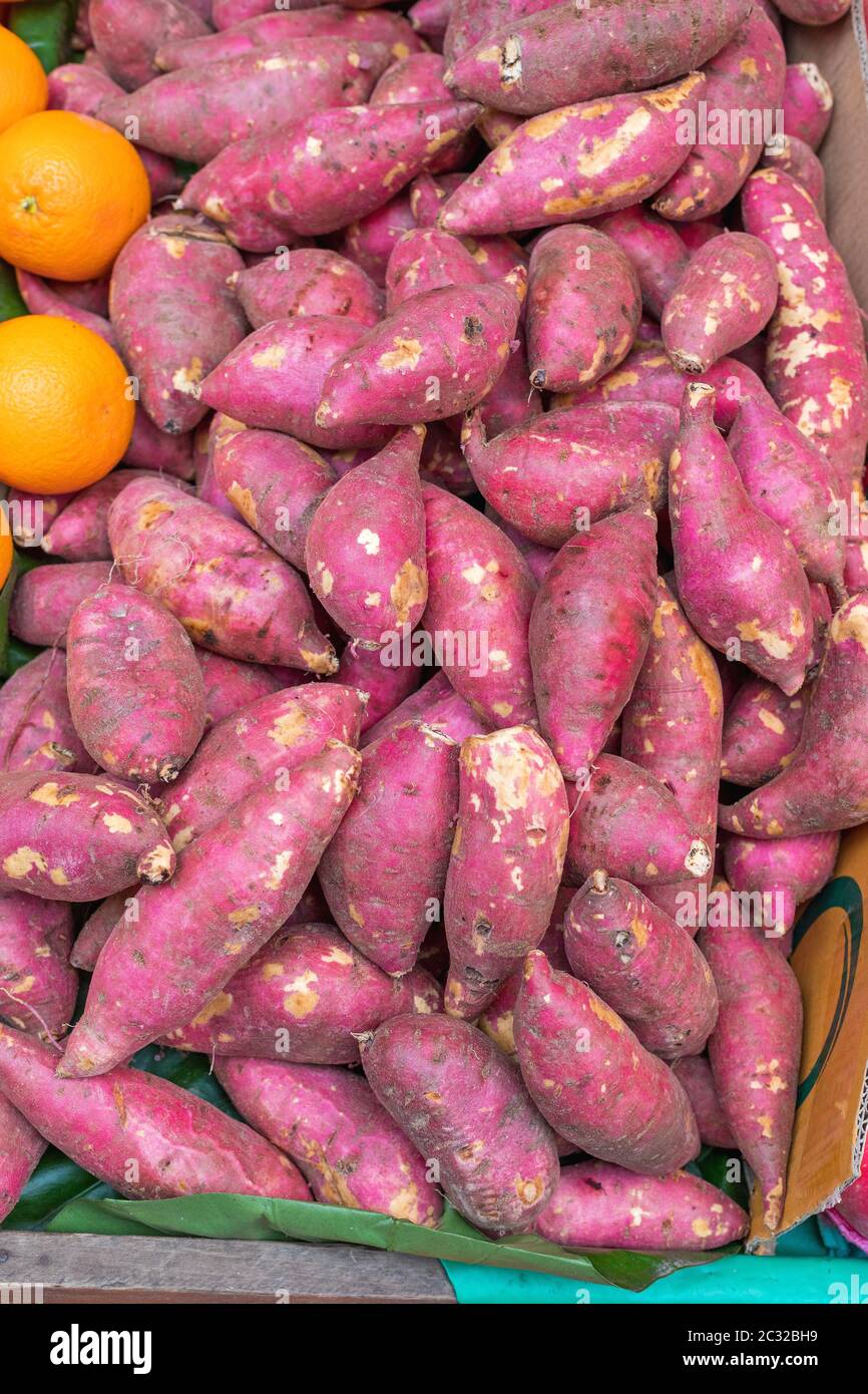Bunch of Japanese Sweet Potato With Pink Skin Stock Photo Alamy
