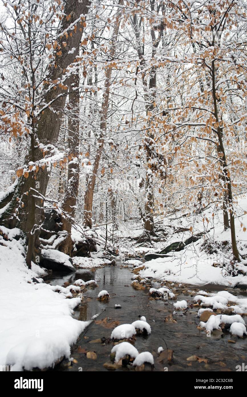 Rock Creek park Washington DC Stock Photo - Alamy