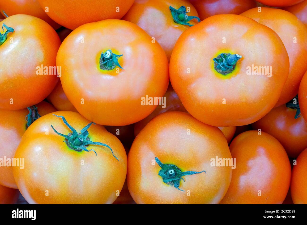 Close-up group of fresh tomato Stock Photo