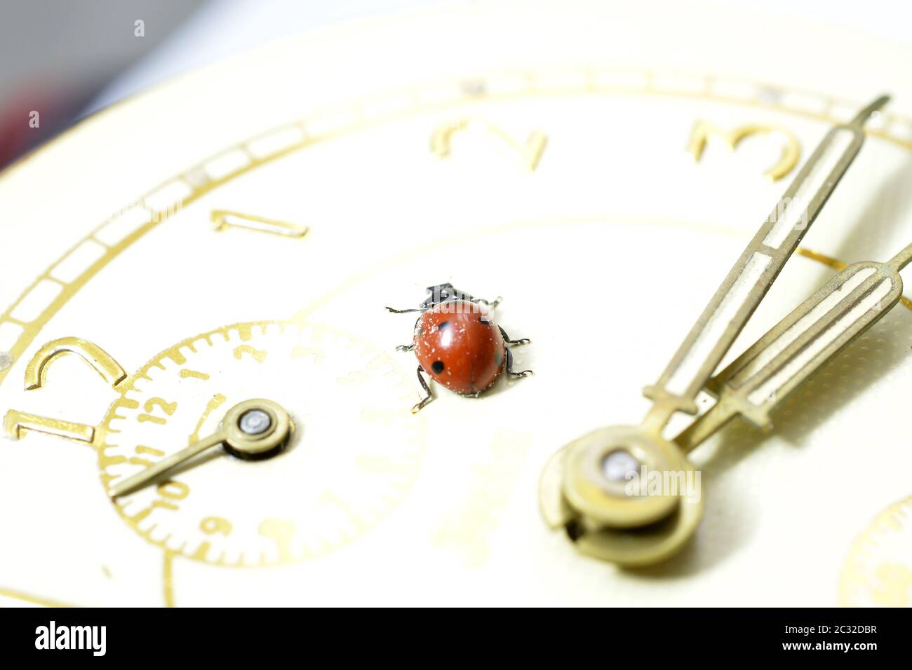 Ladybug on an old clock surface., time concept Stock Photo