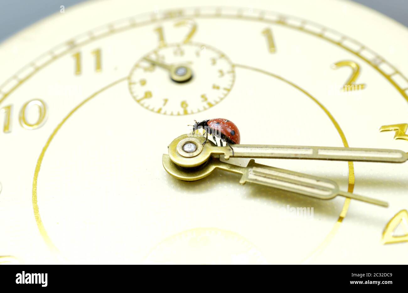 Ladybug on an old clock surface., image Stock Photo