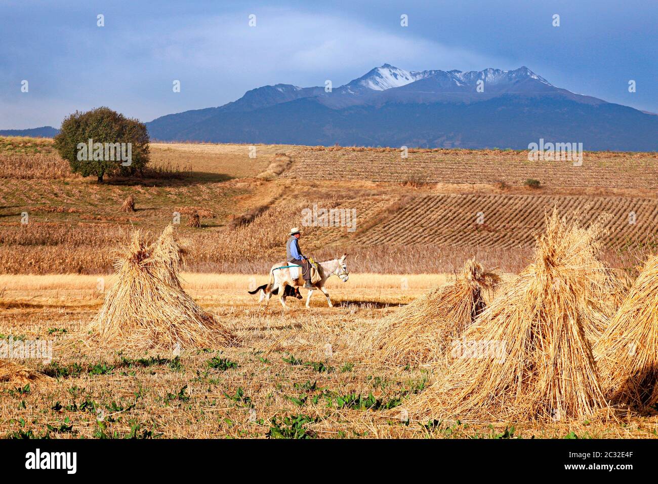 A farmer rides through his fields near the Nevado de Toluca peak near Toluca, Mexico. Stock Photo