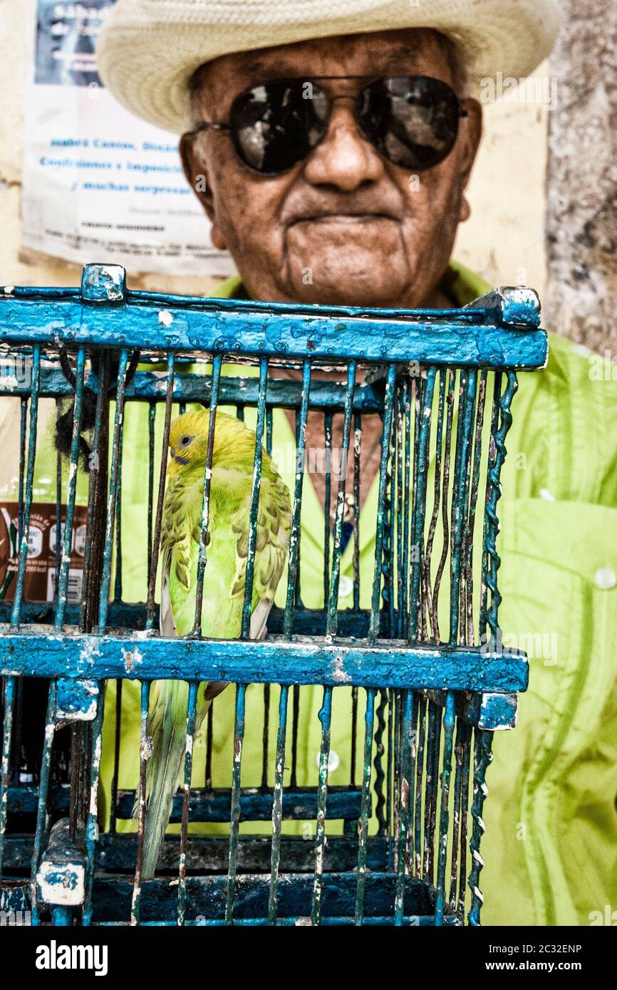Green on green, a man with a parakeet for sale in the Merida, Mexico market. Stock Photo