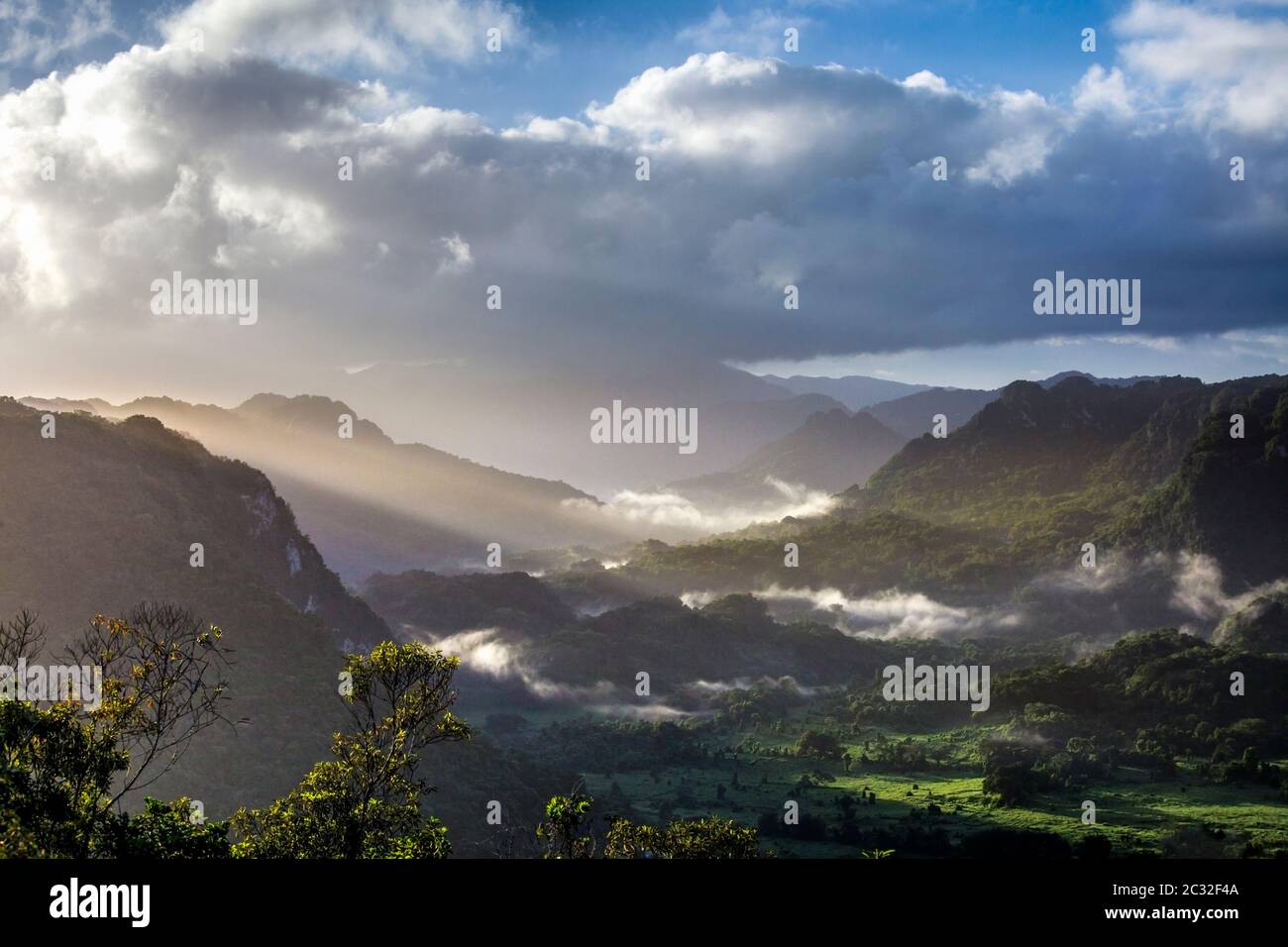 Morning light over the Rio Abajo Forest in Puerto Rico, Stock Photo