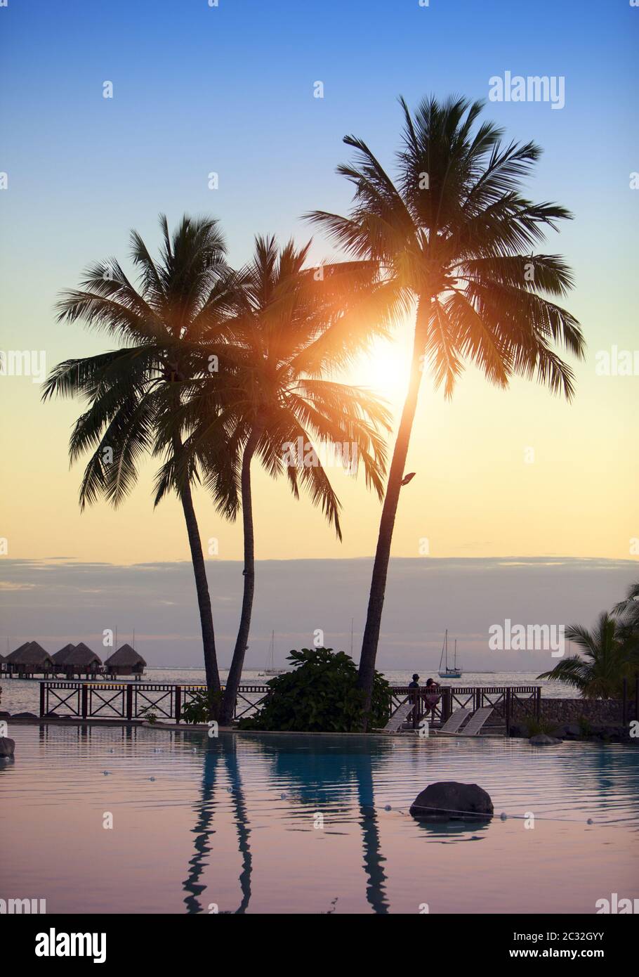 Silhouette of palm trees by the sea on a sunset background. Tahiti, Polynesia Stock Photo