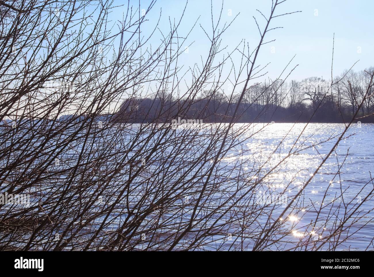Beautiful landscape at the coast of a lake with a reflective water surface and some grass and reed Stock Photo