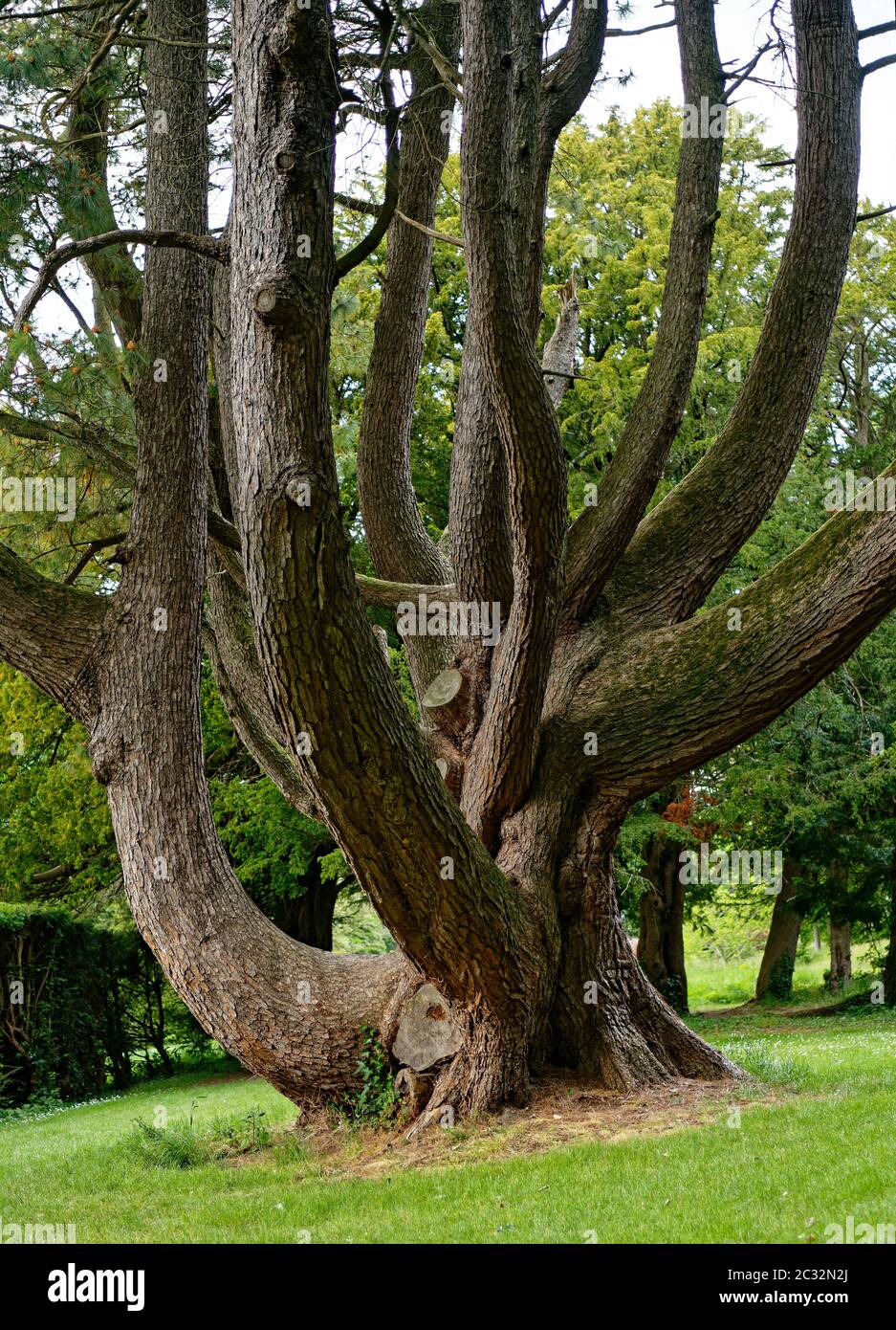 18th century landscape garden hi-res stock photography and images - Alamy