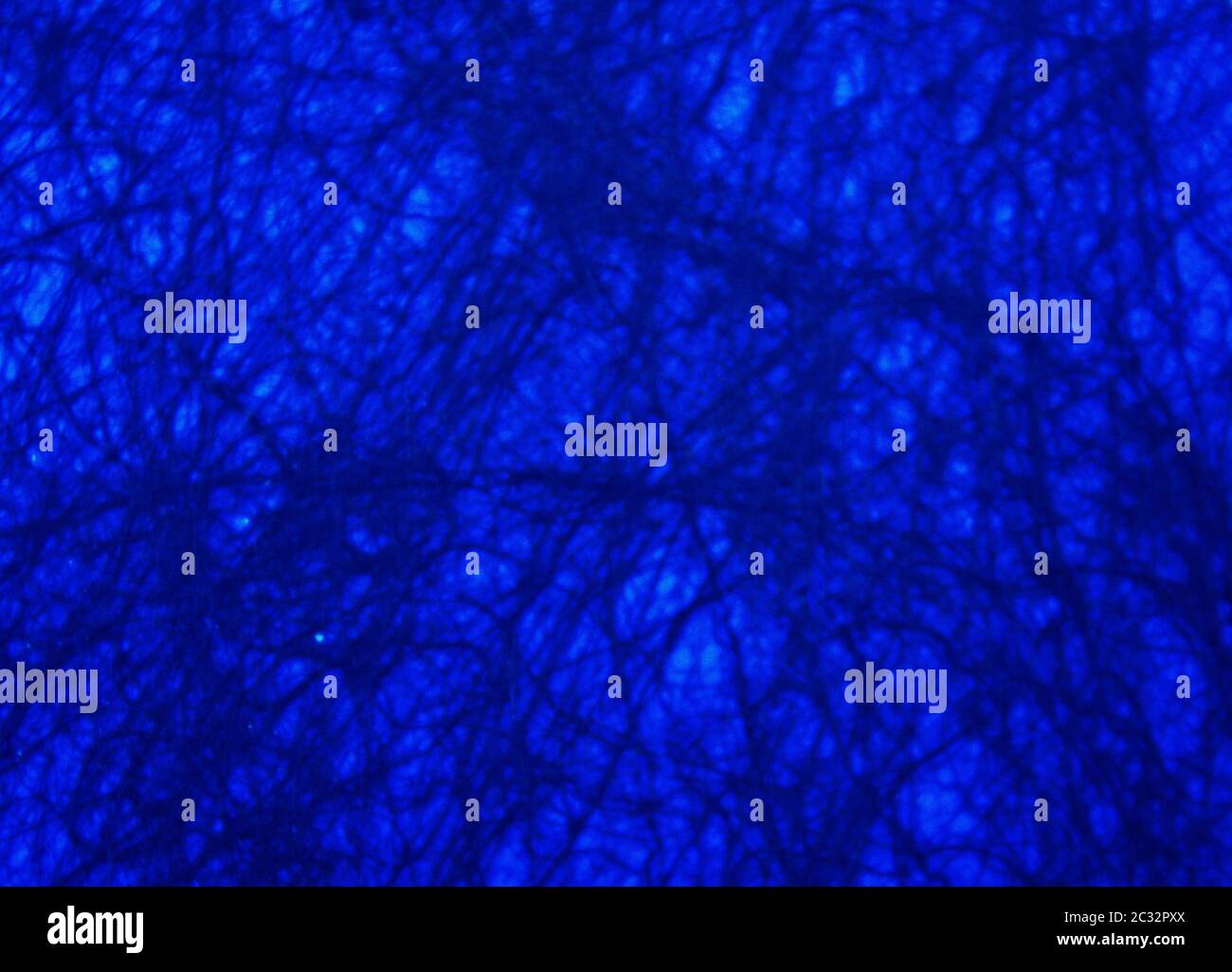 Dark Blue Background Texture For Graphic Design Stock Photo Alamy
