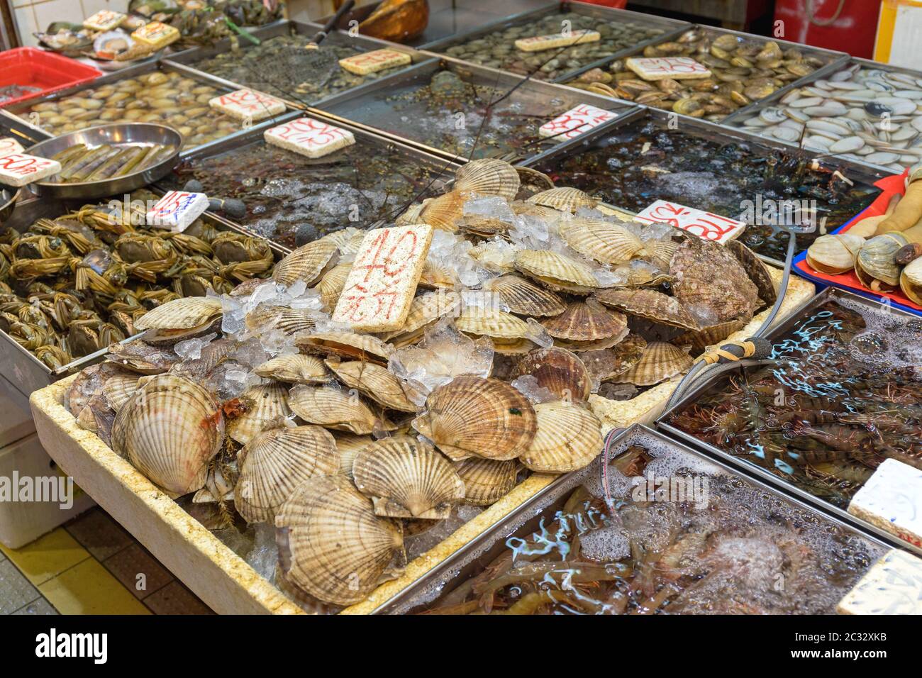 Fresh Scallops Shells at Farmers Market Stall Stock Photo Alamy
