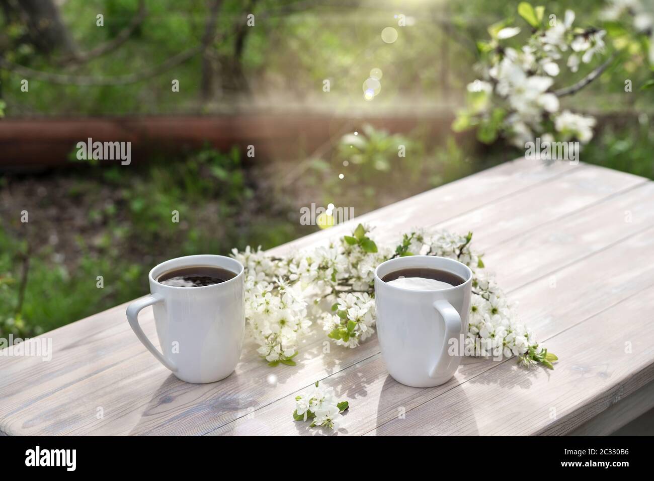 Two Beautiful Porcelain Coffee Cups With White Cherry Flowers On Wooden Table In Spring Garden In Setting Sun Light Top View Stock Photo Alamy