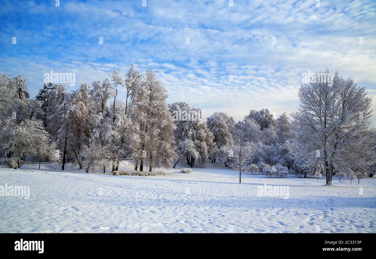 beautiful winter landscape Stock Photo