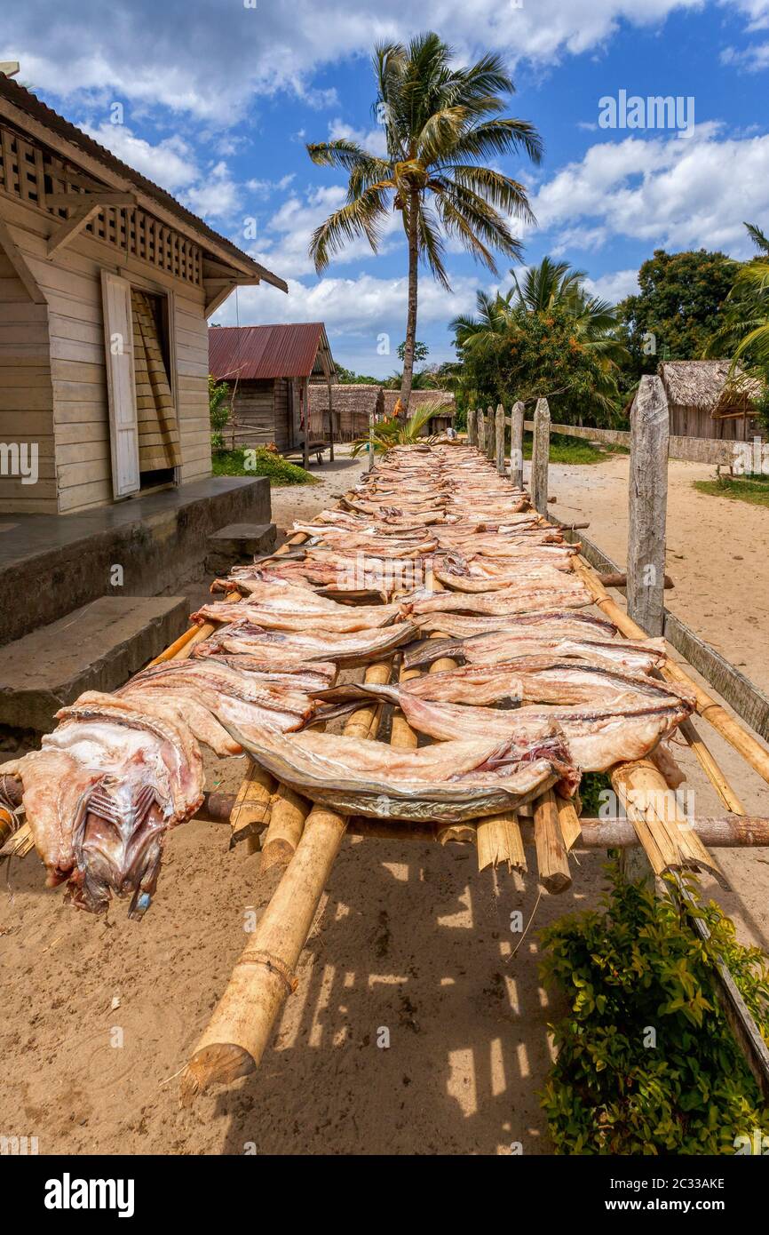 Drying fish in the sun on small village in Masoala, Madagascar Stock