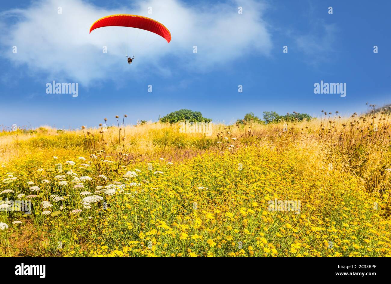 The red parachute hovers Stock Photo