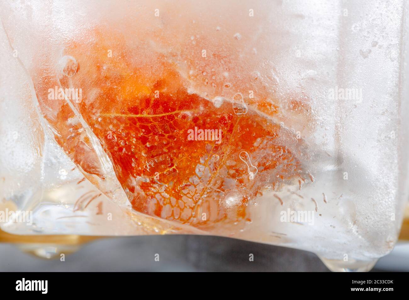 Physalis in ice Stock Photo