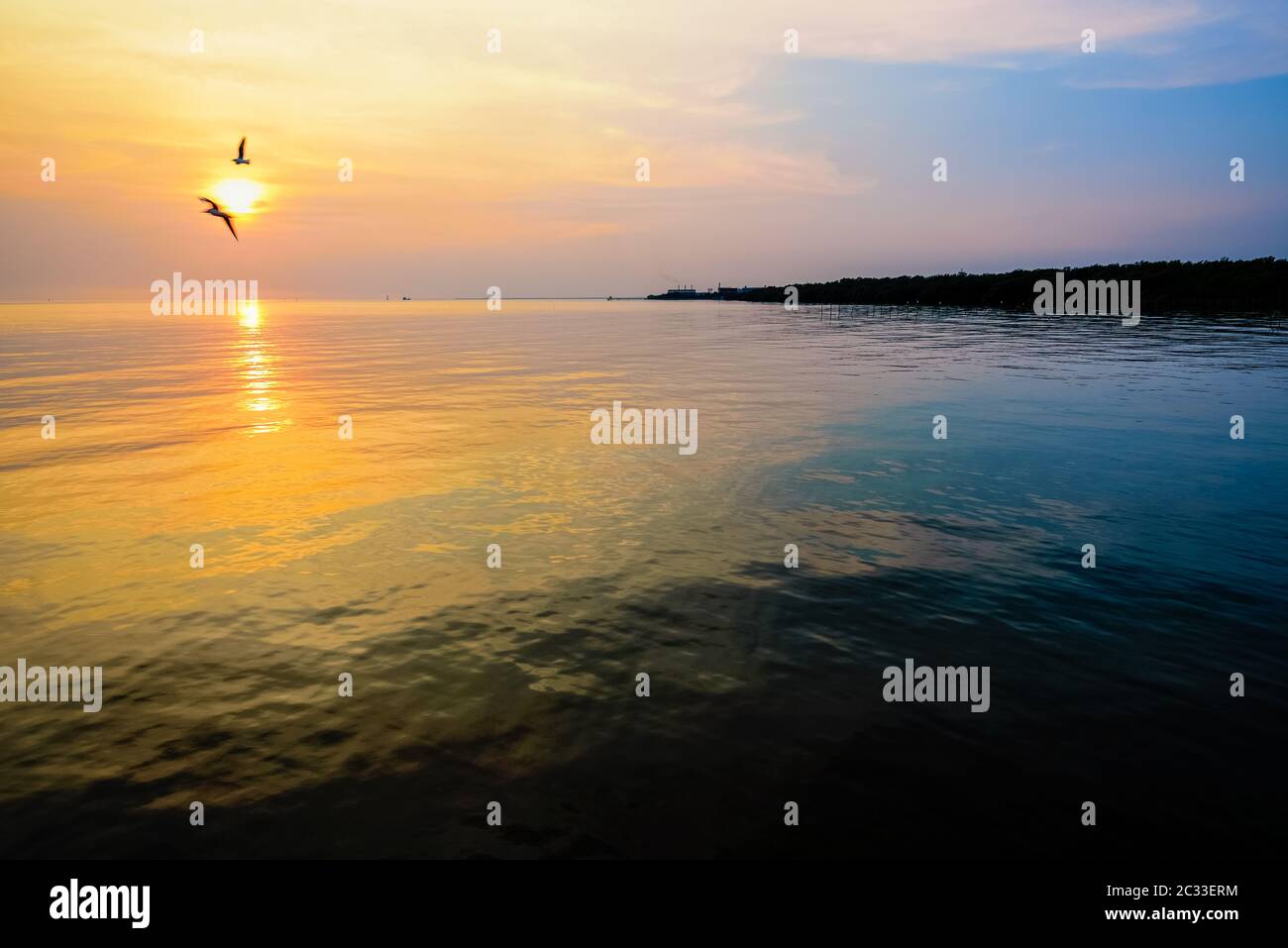 Beautiful nature landscape for background bright sun golden sunlight reflect the water, two birds a pair of seagulls flying on yellow, orange sky at s Stock Photo
