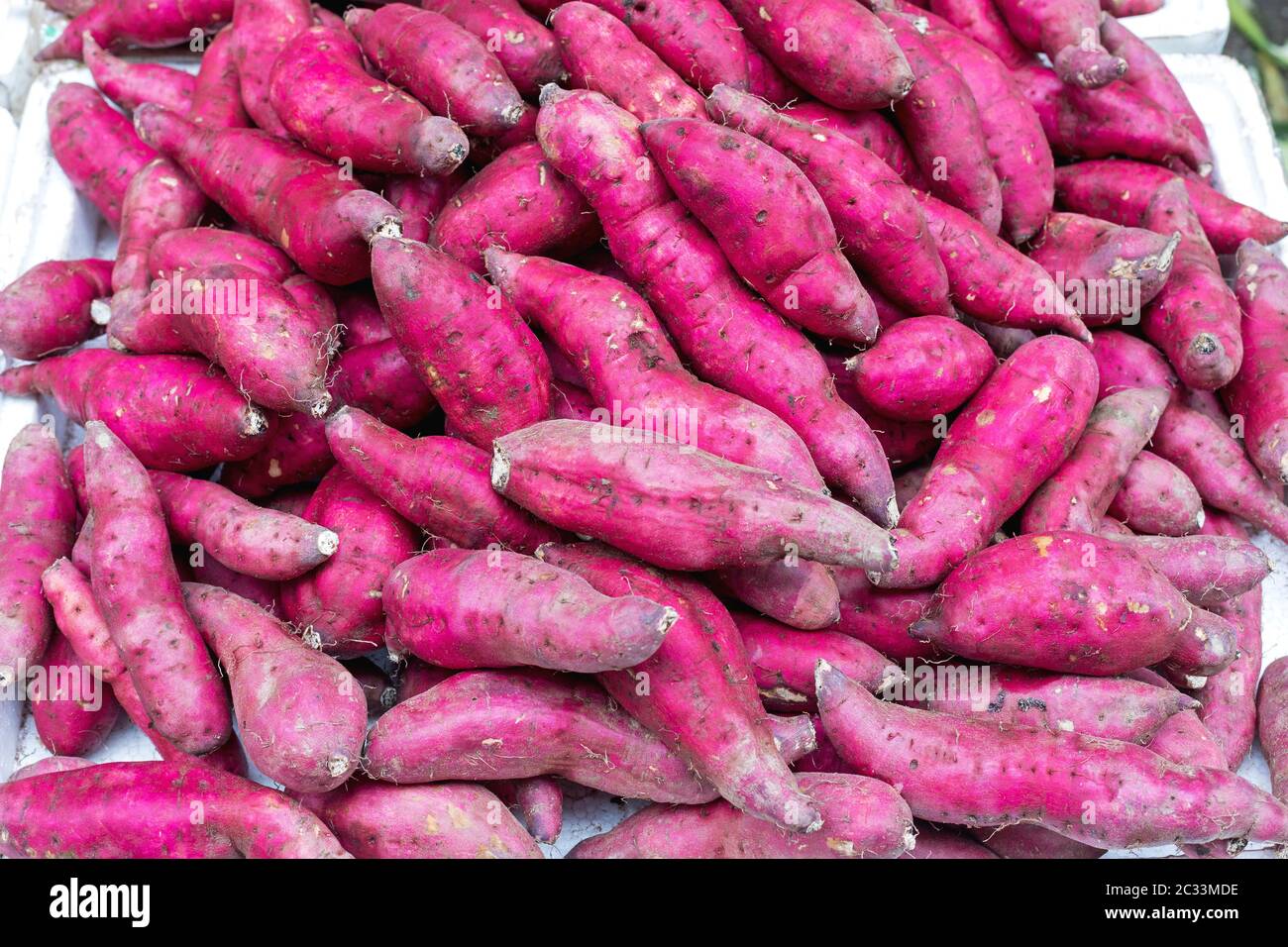 Bunch of Japanese Sweet Potato With Pink Skin Stock Photo Alamy