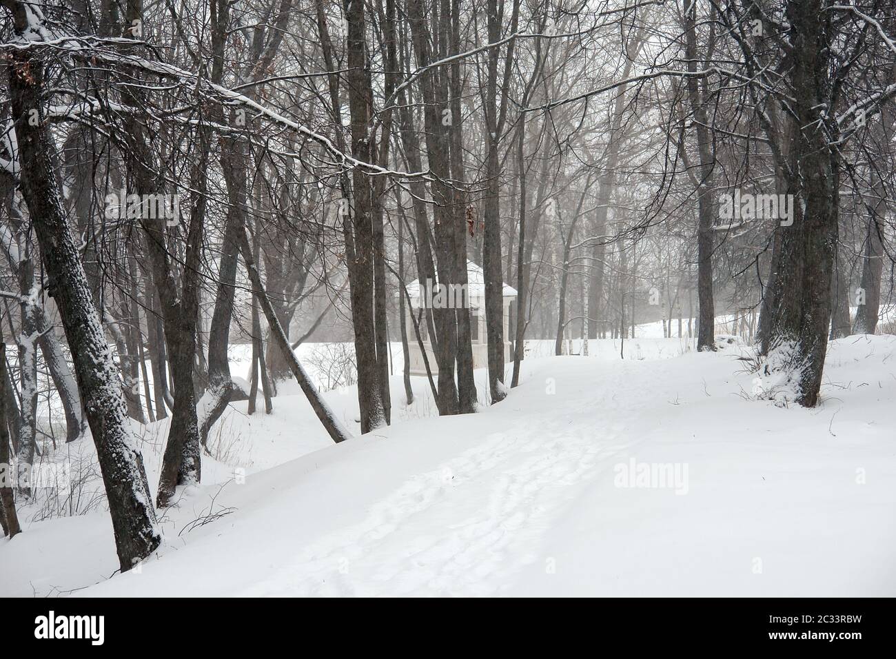 snowstorm Stock Photo