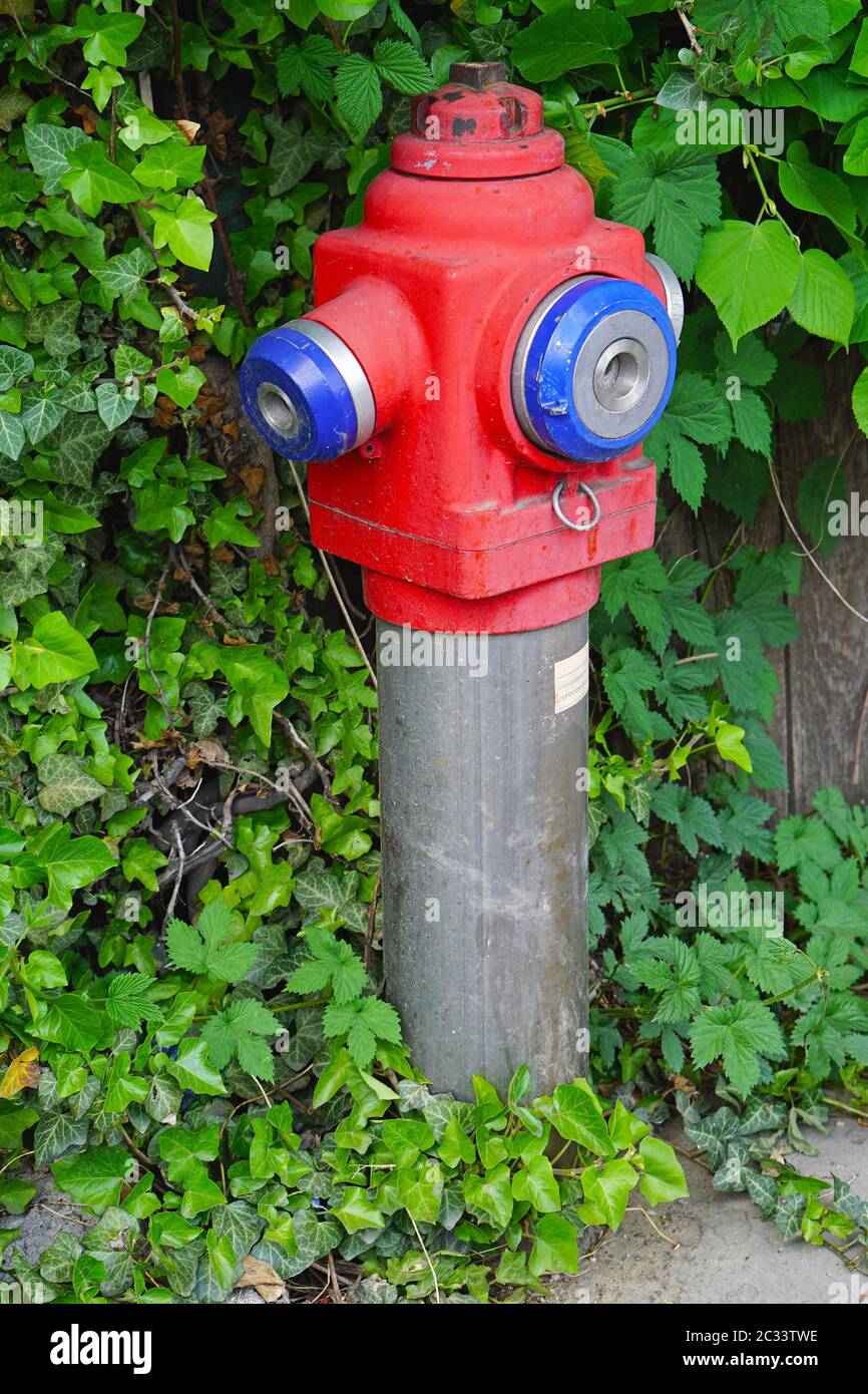 Water hydrant overgrown with weeds Stock Photo Alamy