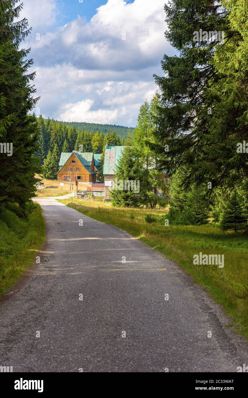 Forest road to Orle shelter in Jizera Mountains, Jakuszyce, Poland Stock Photo