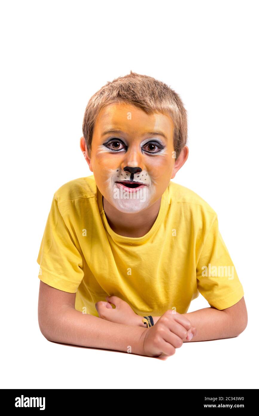 Lion face paint hires stock photography and images Alamy