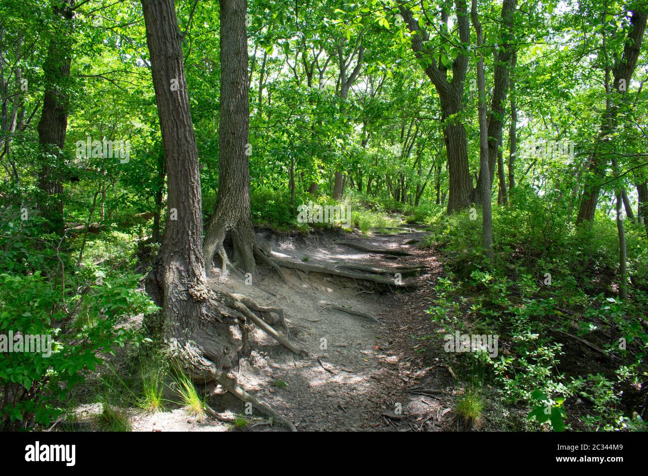 Cheesequake state clearance park hiking