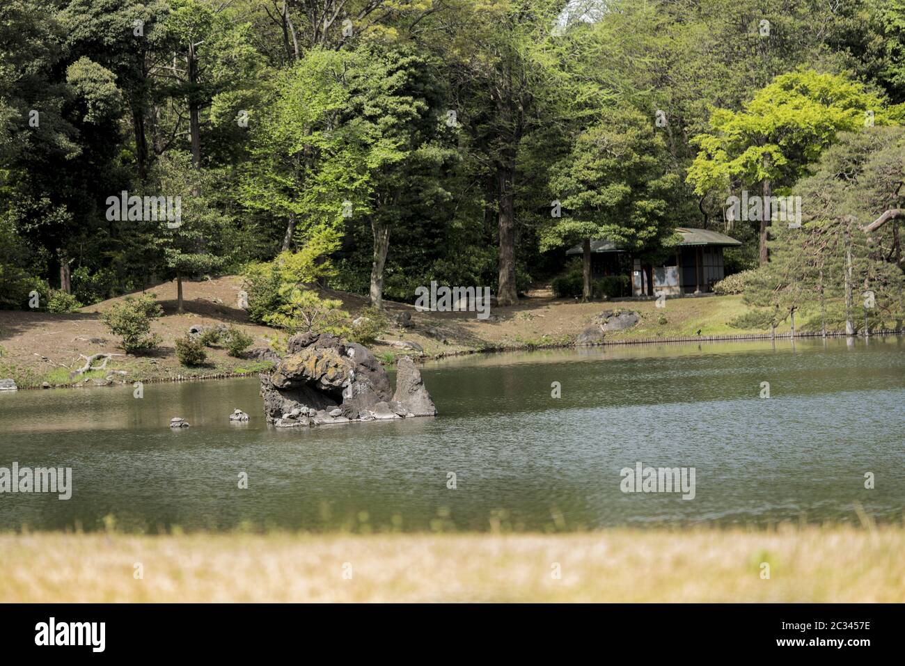 Turtles on the stone islet Houraijima on the pond of Rikugien Park in Bunkyo district, north of Toky Stock Photo