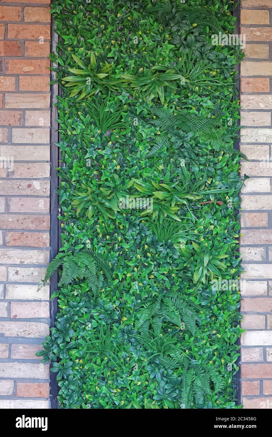 Vertical green garden artificial plants, foliage Stock Photo Alamy