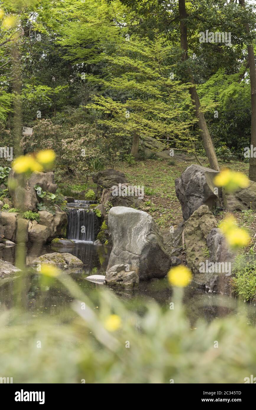 Waterfall and stones seen from bridge lined with flowers in the Rikugien Garden in Bunkyo district, Stock Photo