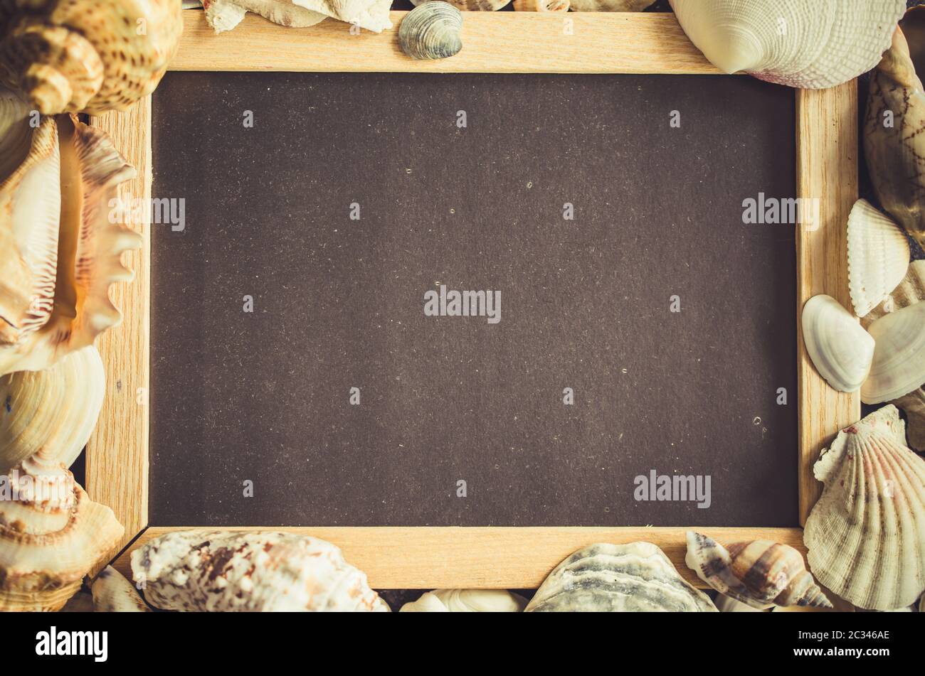 Empty chalkboard or photo frame with seashells. Summer background. Summer vacation concept. Copy space. Mock up. Stock Photo