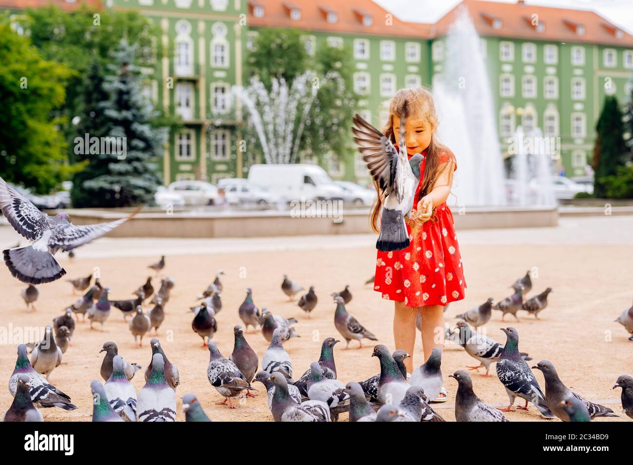 Young Caucasian white girl feeding many pigeons, some flying around or sitting down. Blurred fountain and green building in background Stock Photo