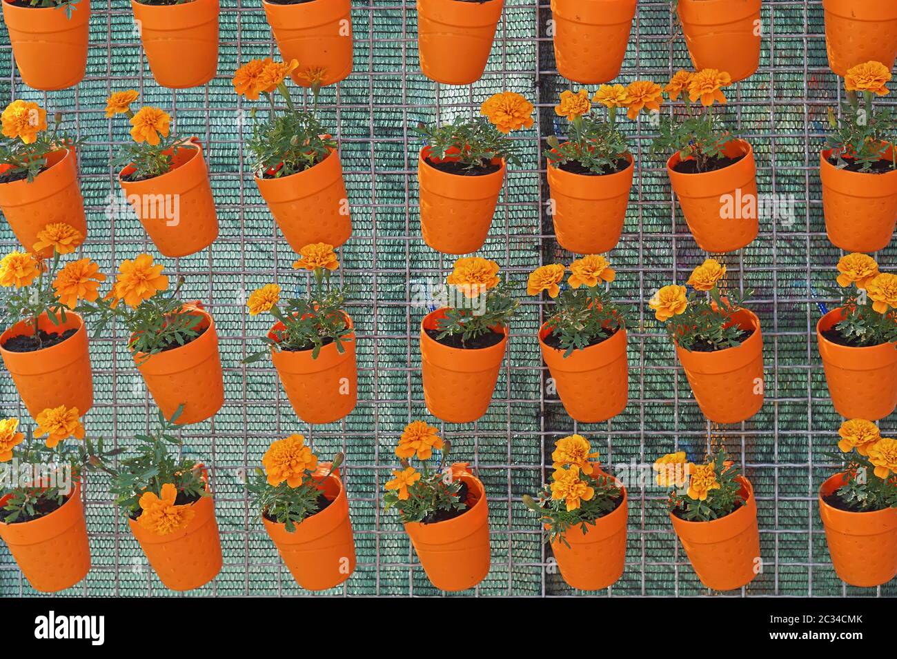 best potting soil for indoor plants Indoor Plant Soil Mix - 8 quarts