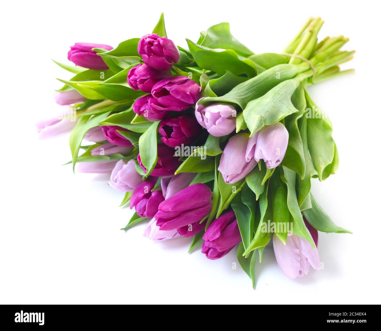 A Bunch Of Purple Tulips Isolated On White Stock Photo