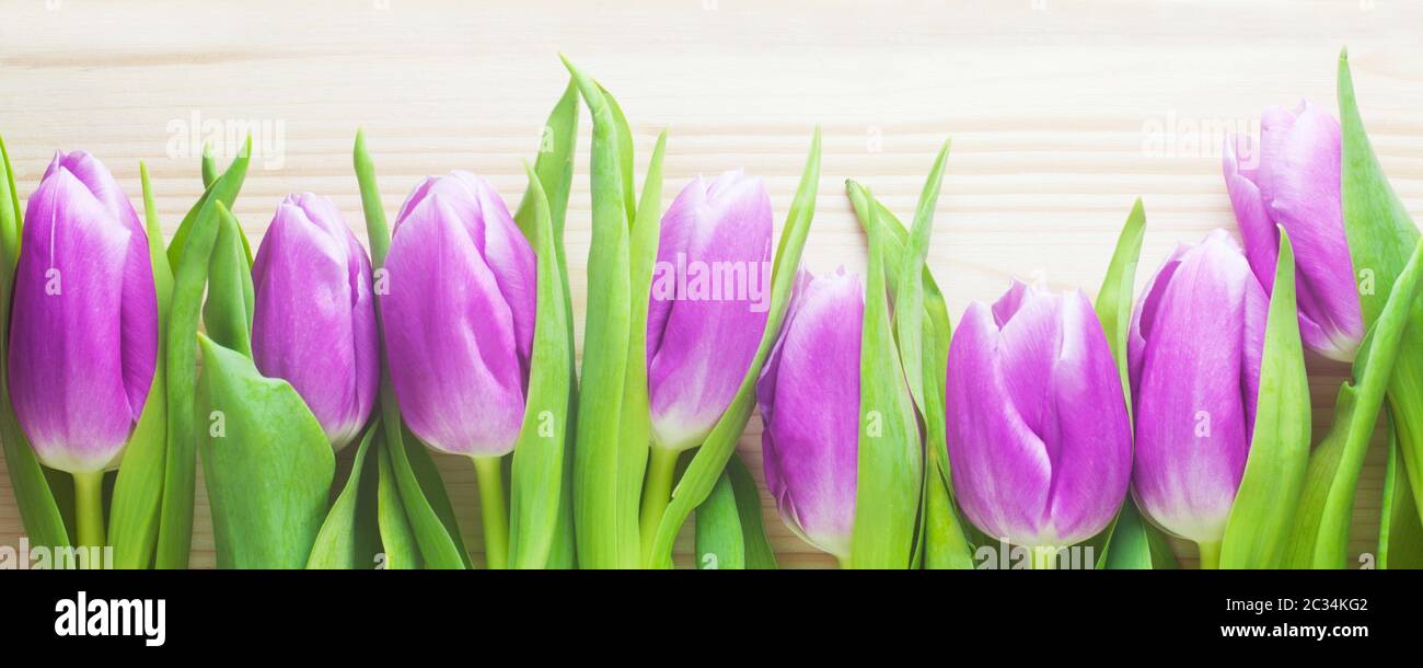 Purple Tulips On A Wooden Background Stock Photo