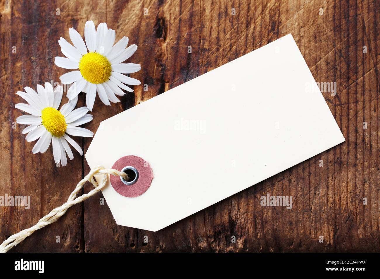 Blank Paper Label With Daisies On A Wooden Background Stock Photo