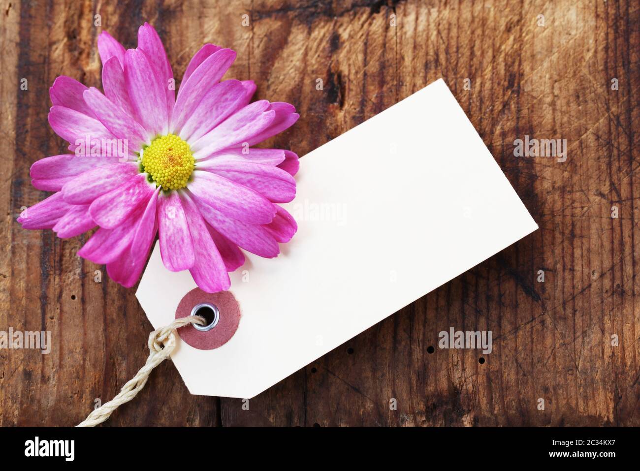 Pink Marguerite With A Blank Paper Label On A Wooden Background Stock Photo